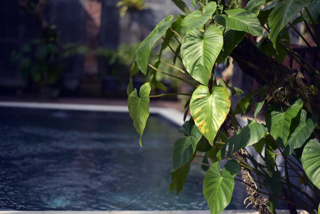 Wooden Villa By Prasi อูบุด ภายนอก รูปภาพ